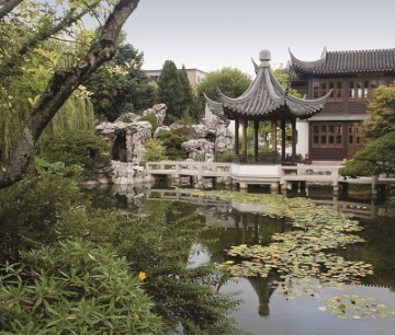 japanese style garden