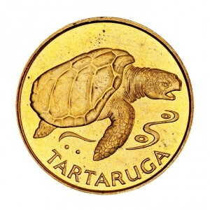 "tartaruga" and turtle on coin