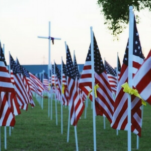 field of american flags