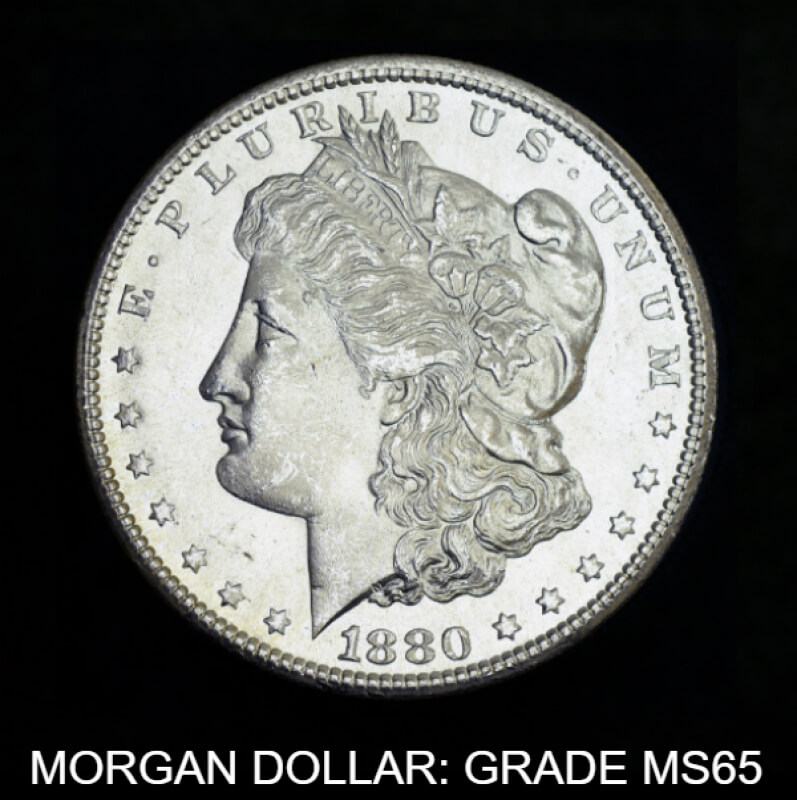 Morgan dollar G65 Obverse Med Black
