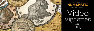 video vignettes banner
