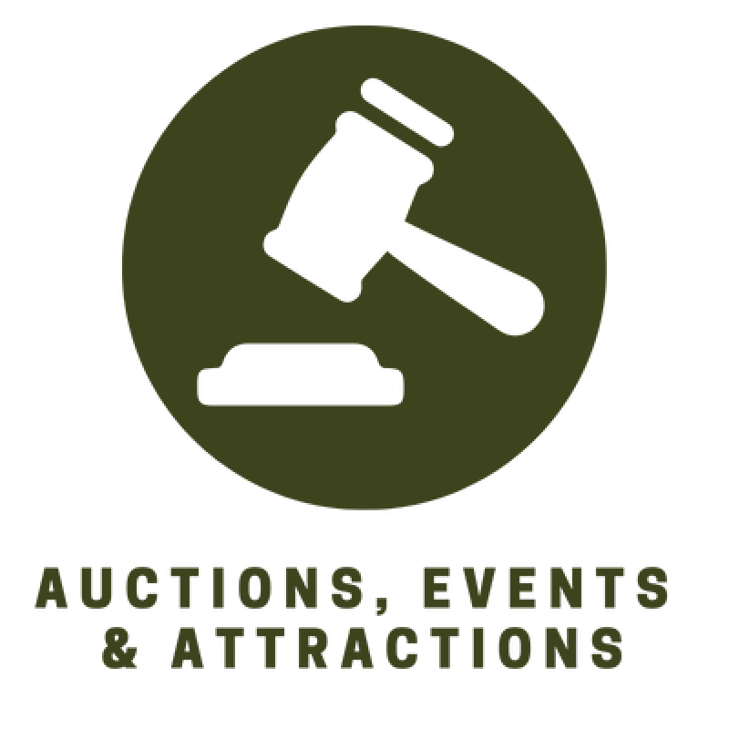 NMS WFM AUCTION EVENT ATTRACTION