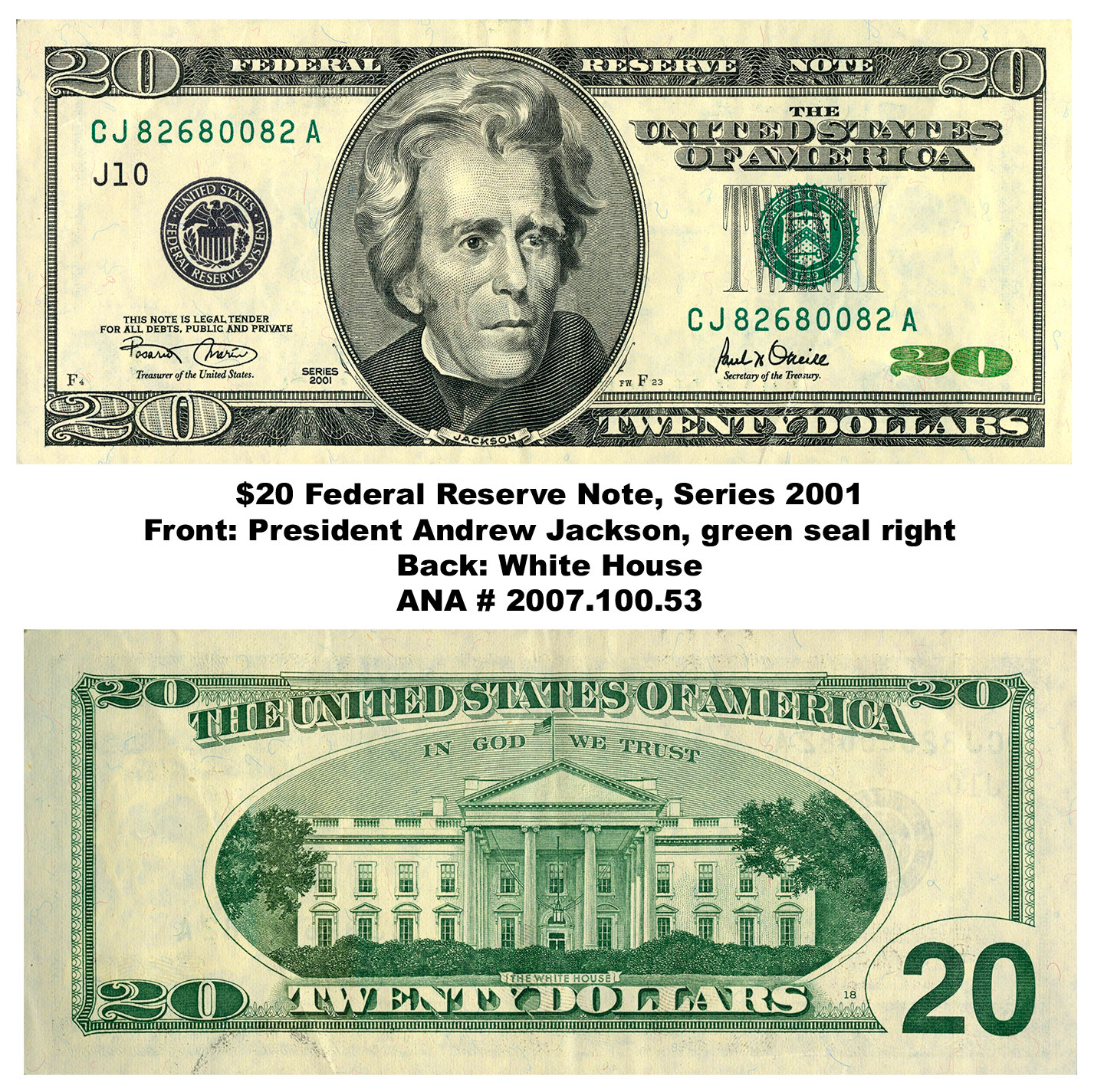100 Dollar Bill Front And Back Actual Size