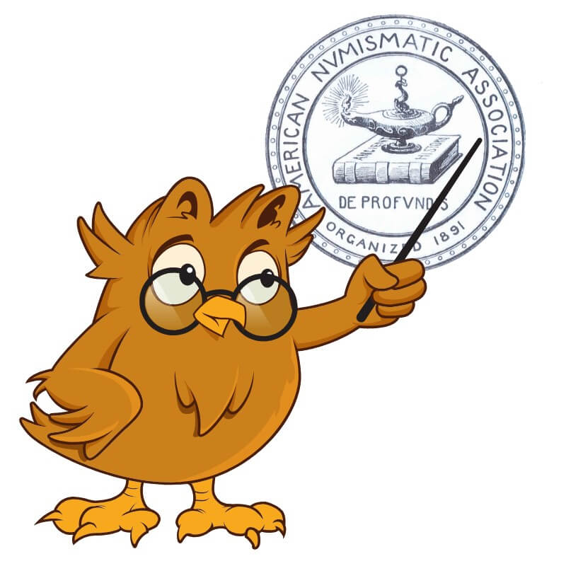 owl white background