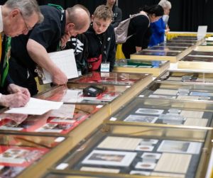 Exploring Collector Exhibits